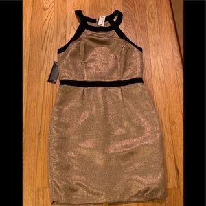 Gold/champagne shimmer dress